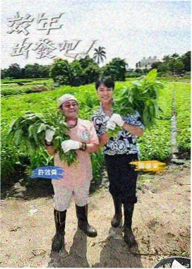 免费观看片动漫资讯